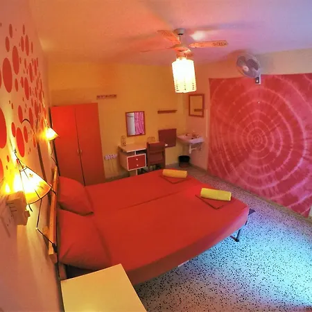 Splendid Guest house 3*