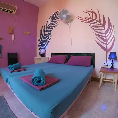 Guest house Splendid 3*