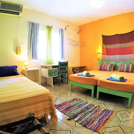Guest house Splendid